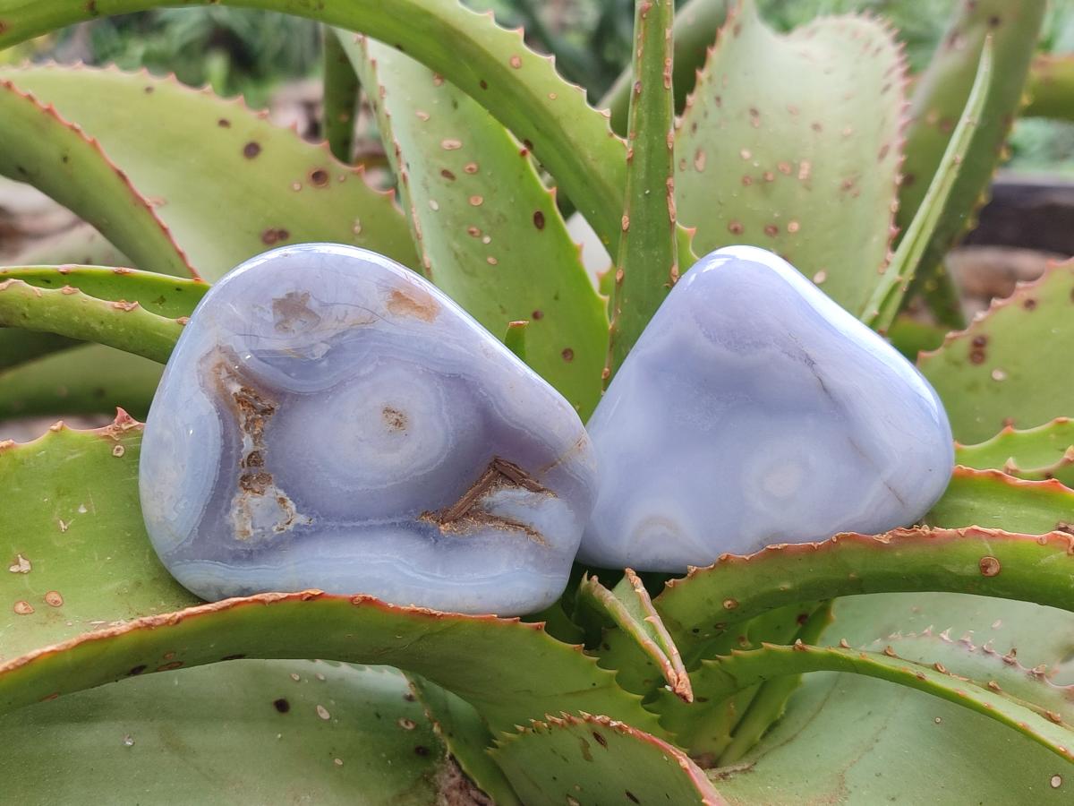 Polished Blue Lace Agate Free Forms x 6 From Nsanje, Malawi - Toprock Gemstones and Minerals 
