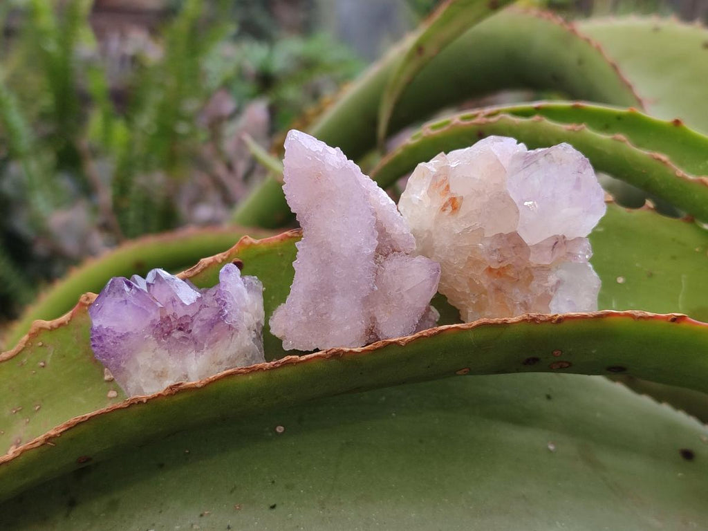 Natural Spirit Amethyst Crystals x 35 From Boekenhouthoek, South Africa - Toprock Gemstones and Minerals 