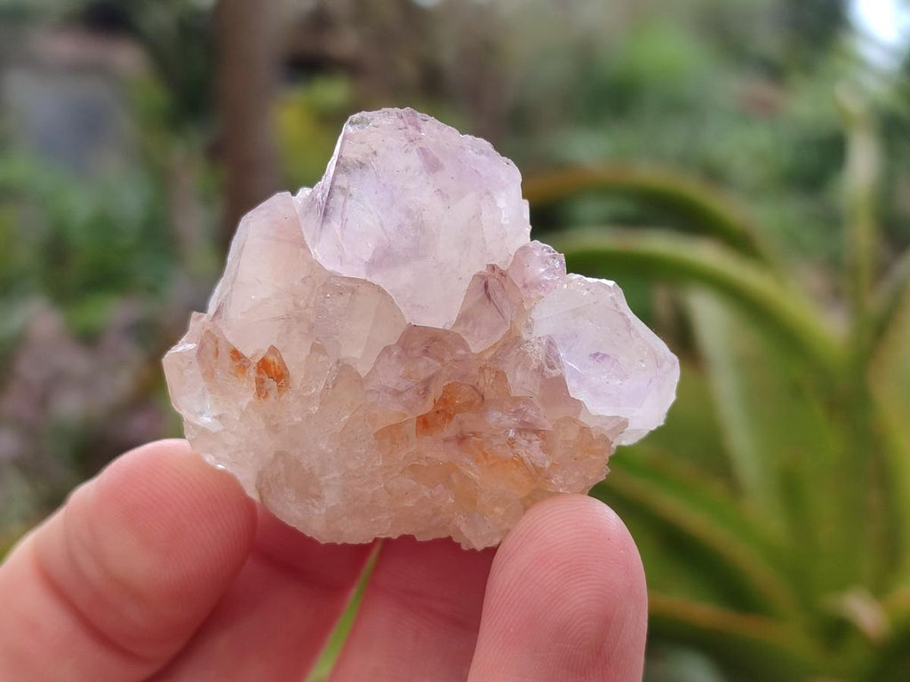 Natural Spirit Amethyst Crystals x 35 From Boekenhouthoek, South Africa - Toprock Gemstones and Minerals 