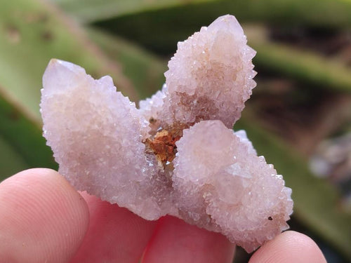 Natural Spirit Amethyst Crystals x 35 From Boekenhouthoek, South Africa - Toprock Gemstones and Minerals 