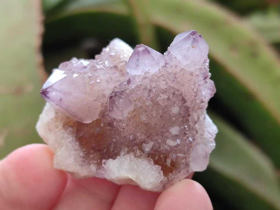 Natural Spirit Amethyst Crystals x 35 From Boekenhouthoek, South Africa - Toprock Gemstones and Minerals 