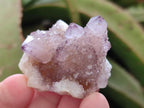Natural Spirit Amethyst Crystals x 35 From Boekenhouthoek, South Africa - Toprock Gemstones and Minerals 