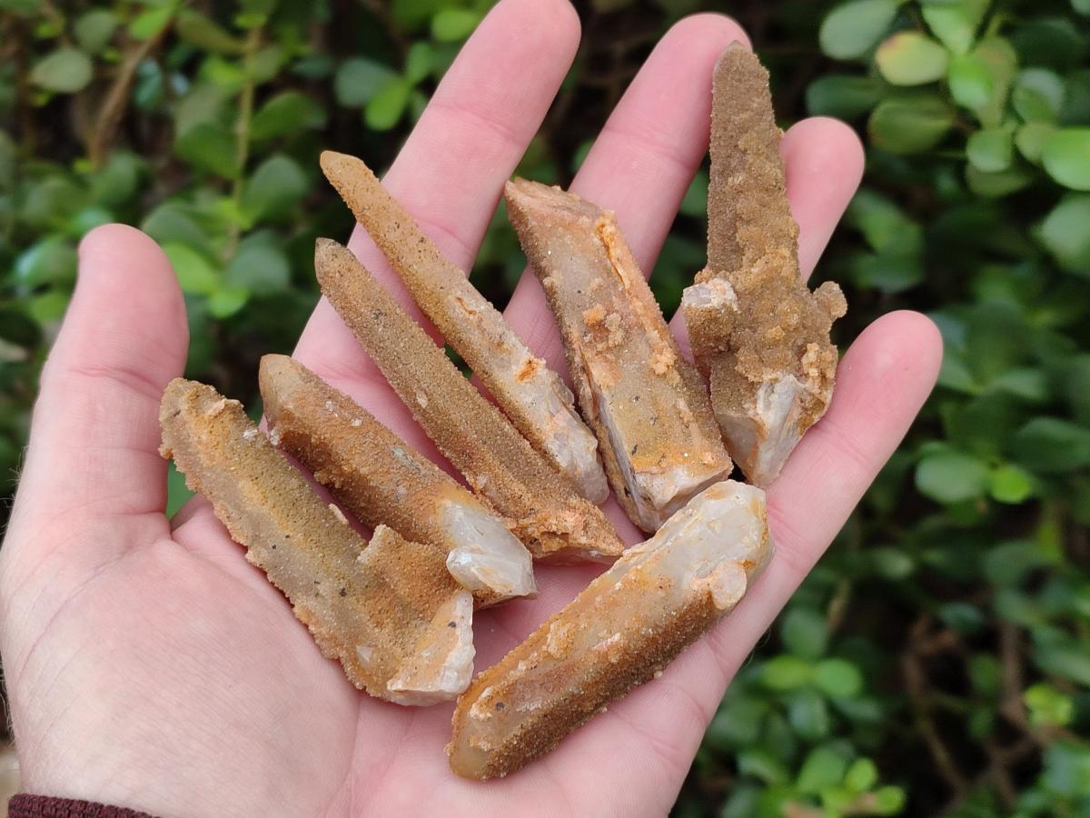 Natural Solar Spirit Quartz Crystals and Clusters x 31 From Boekenhouthoek, South Africa - Toprock Gemstones and Minerals 