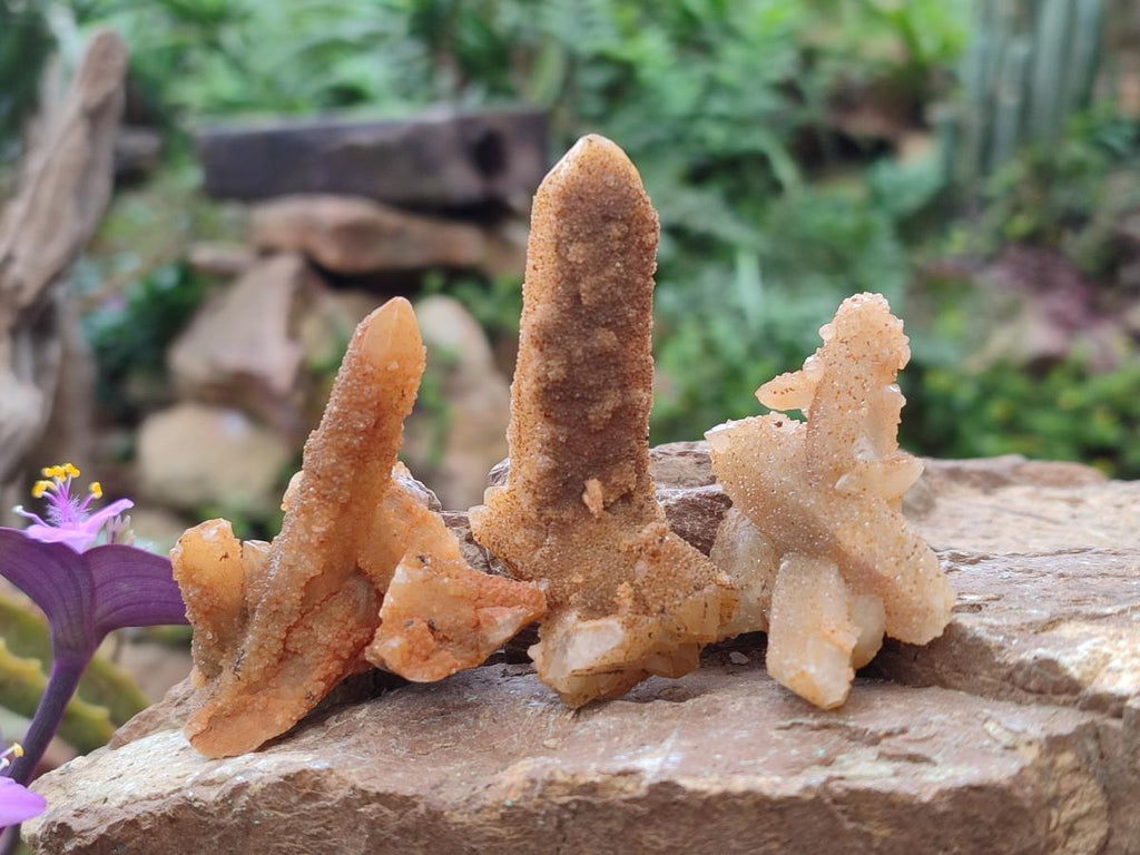 Natural Solar Spirit Quartz Crystals and Clusters x 31 From Boekenhouthoek, South Africa - Toprock Gemstones and Minerals 