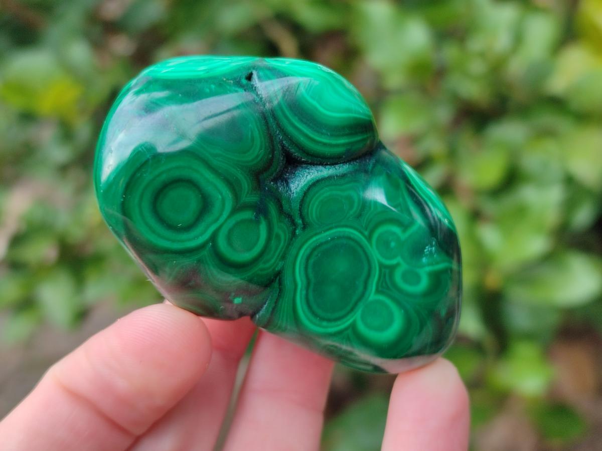 Polished Flower Banded Malachite Free Forms x 24 From Congo - Toprock Gemstones and Minerals 