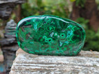 Polished Flower Banded Malachite Free Forms x 24 From Congo - Toprock Gemstones and Minerals 