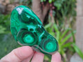 Polished Flower Banded Malachite Free Forms x 24 From Congo - Toprock Gemstones and Minerals 