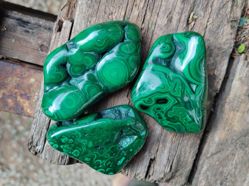 Polished Flower Banded Malachite Free Forms x 24 From Congo - Toprock Gemstones and Minerals 