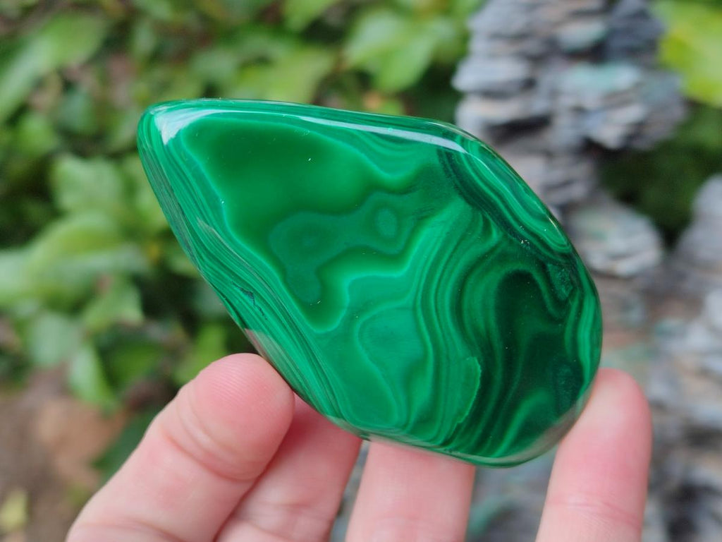 Polished Flower Banded Malachite Free Forms x 24 From Congo - Toprock Gemstones and Minerals 