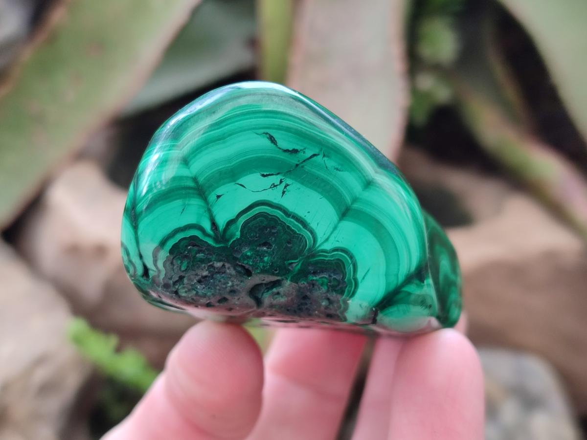 Polished Flower Banded Malachite Free Forms x 24 From Congo - Toprock Gemstones and Minerals 