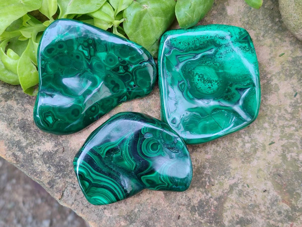Polished Flower Banded Malachite Free Forms x 24 From Congo - Toprock Gemstones and Minerals 
