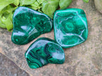 Polished Flower Banded Malachite Free Forms x 24 From Congo - Toprock Gemstones and Minerals 
