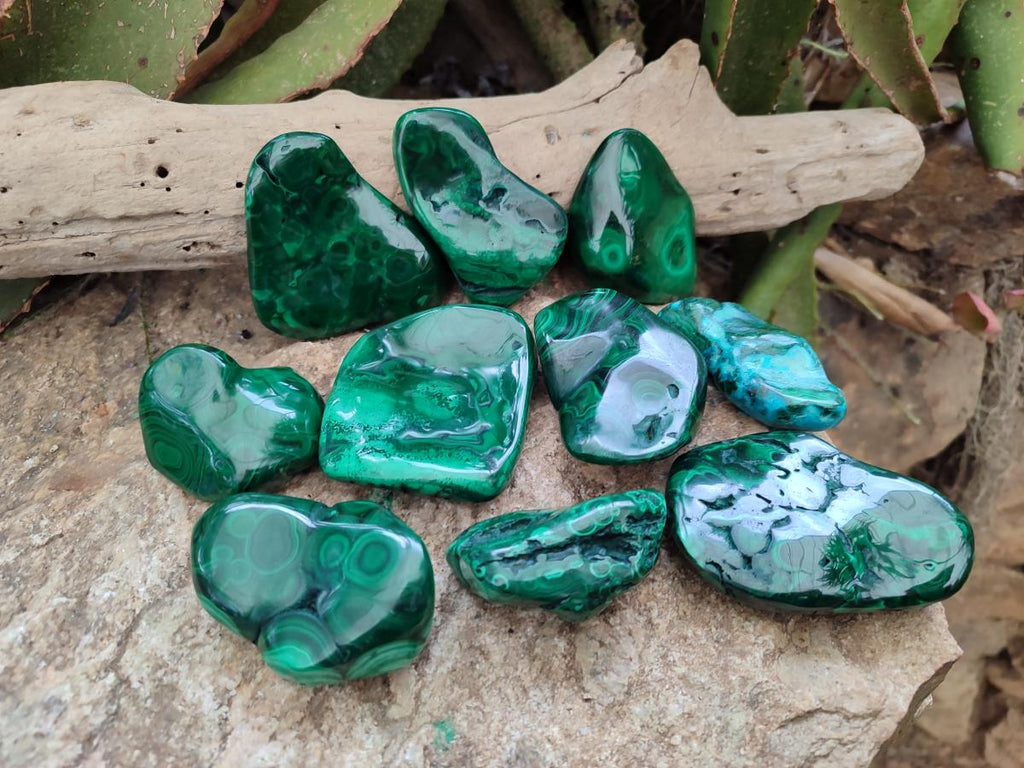 Polished Flower Banded Malachite Free Forms x 24 From Congo - Toprock Gemstones and Minerals 