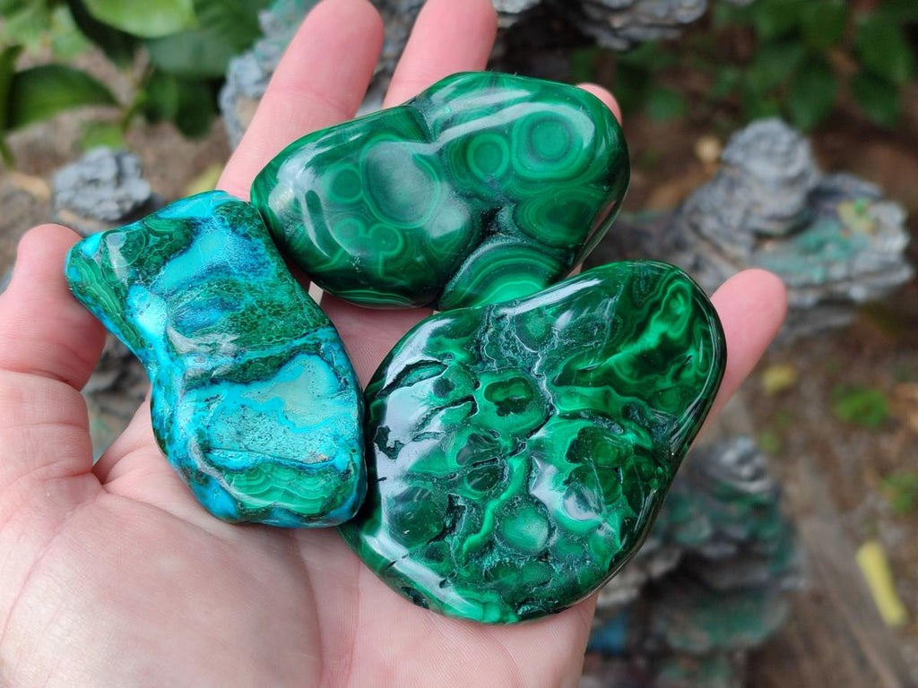 Polished Flower Banded Malachite Free Forms x 24 From Congo - Toprock Gemstones and Minerals 