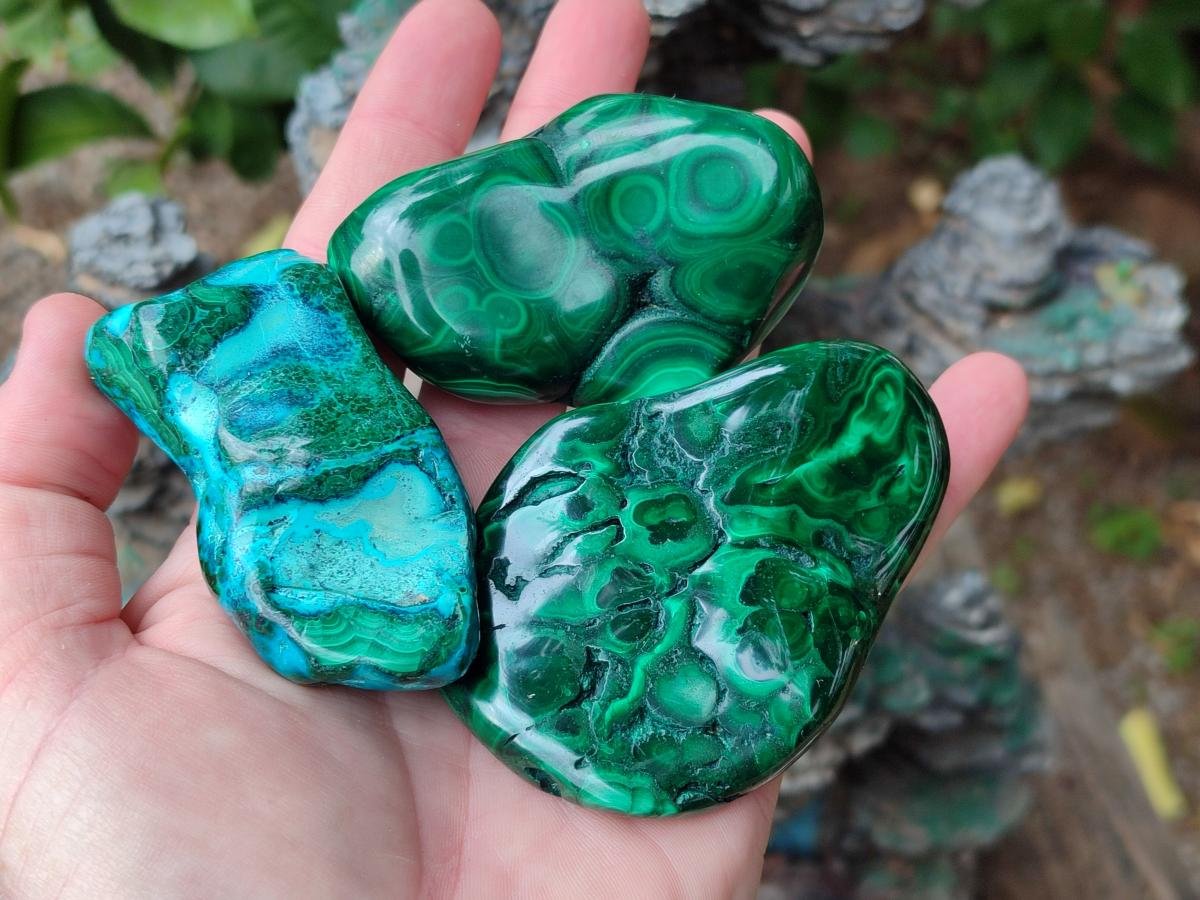 Polished Flower Banded Malachite Free Forms x 24 From Congo - Toprock Gemstones and Minerals 