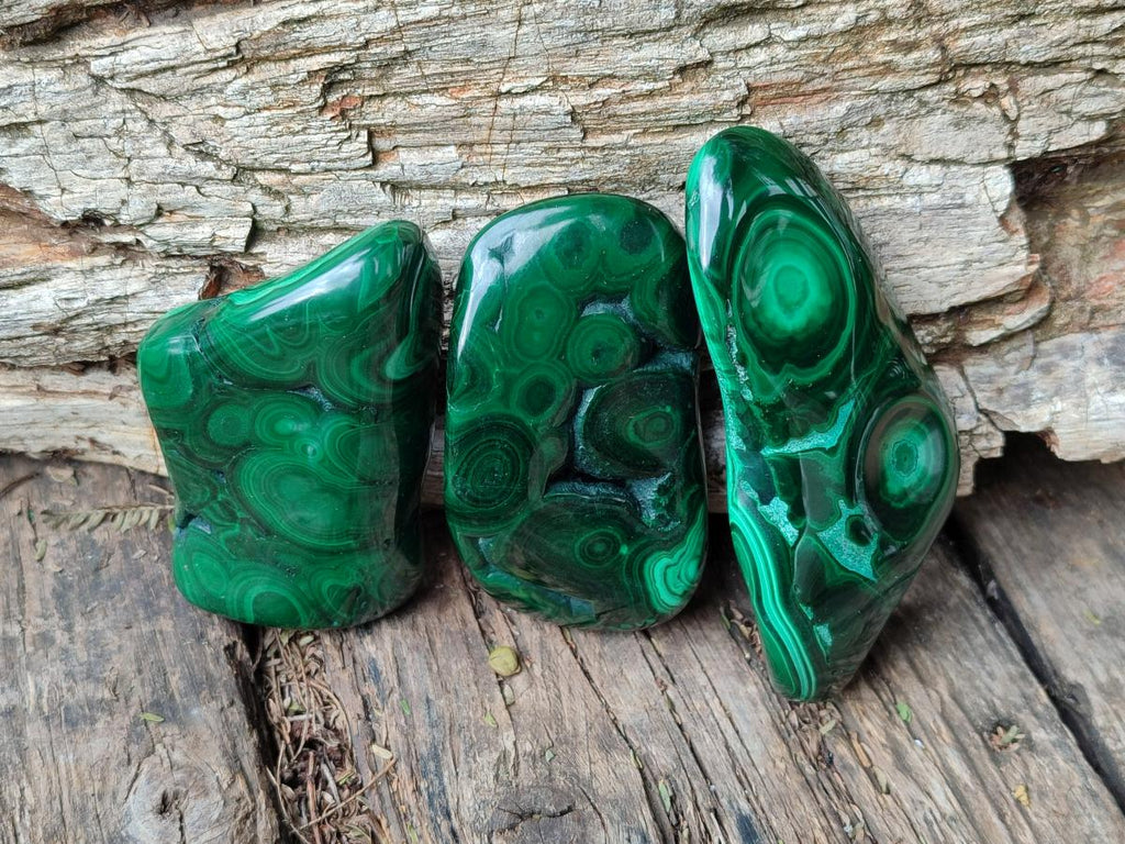 Polished Flower Banded Malachite Free Forms x 24 From Congo - Toprock Gemstones and Minerals 