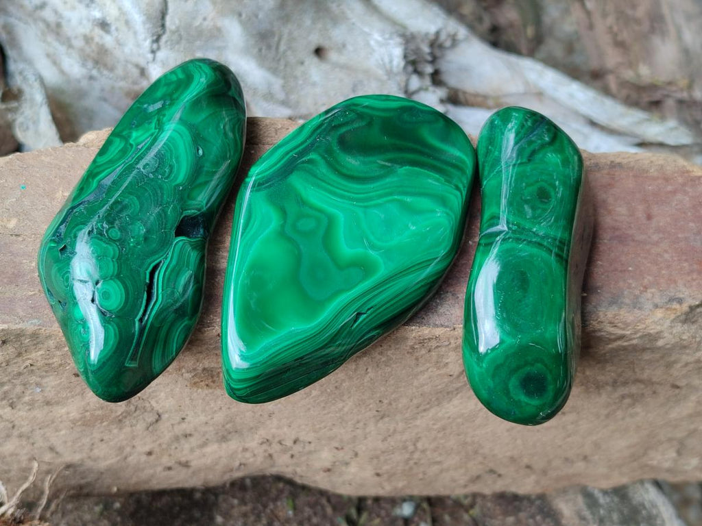 Polished Flower Banded Malachite Free Forms x 24 From Congo - Toprock Gemstones and Minerals 