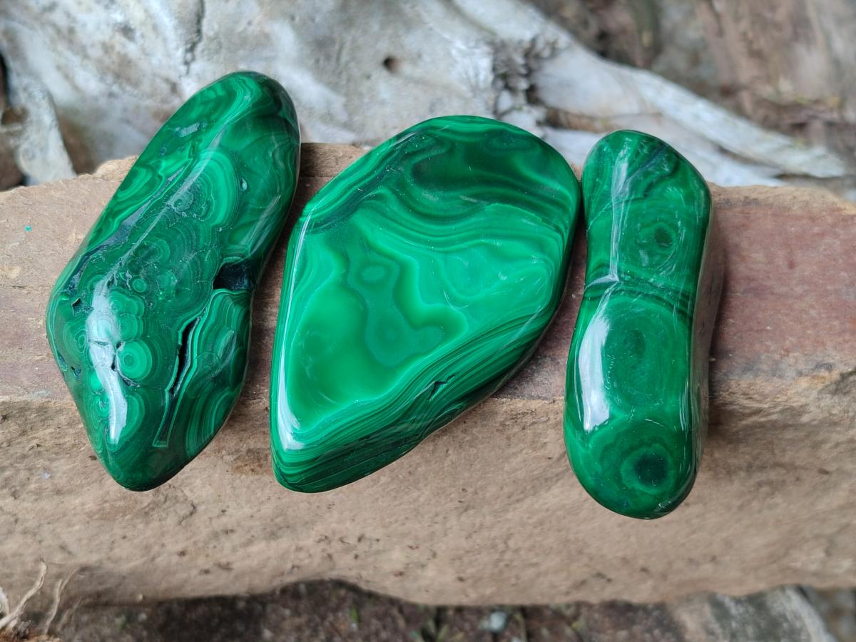 Polished Flower Banded Malachite Free Forms x 24 From Congo - Toprock Gemstones and Minerals 