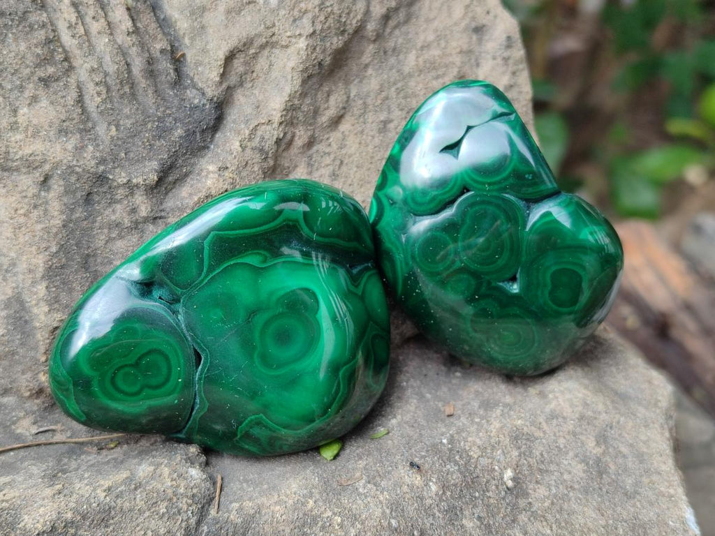 Polished Flower Banded Malachite Free Forms x 24 From Congo - Toprock Gemstones and Minerals 