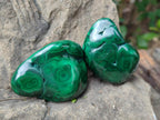 Polished Flower Banded Malachite Free Forms x 24 From Congo - Toprock Gemstones and Minerals 