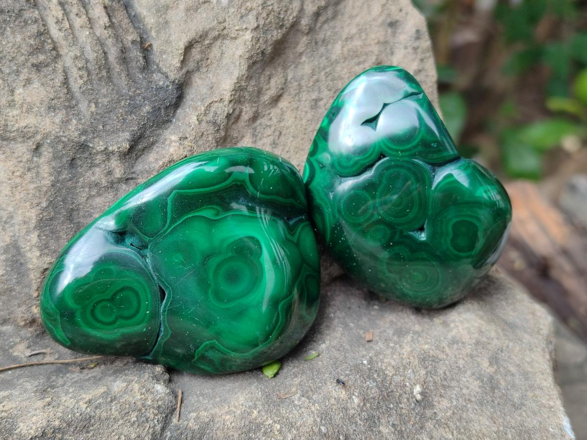 Polished Flower Banded Malachite Free Forms x 24 From Congo - Toprock Gemstones and Minerals 