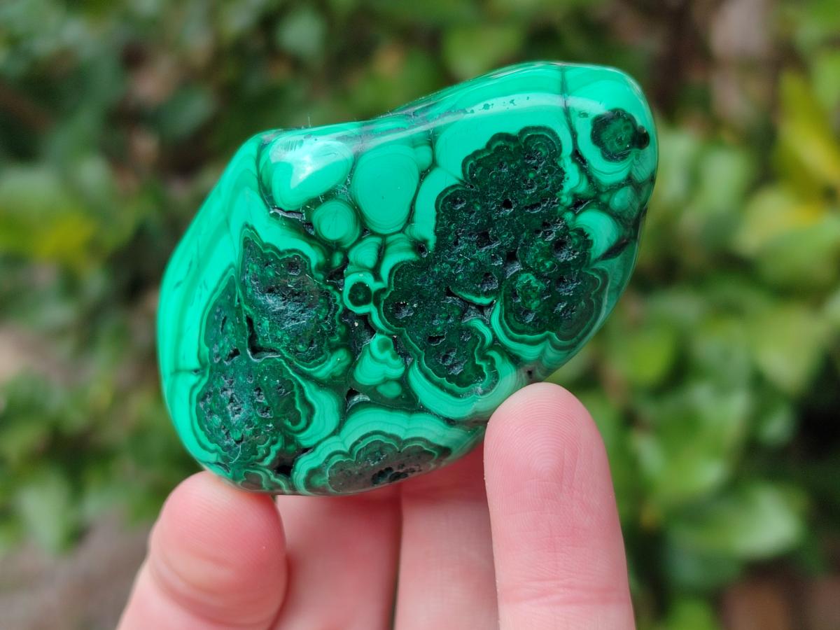 Polished Flower Banded Malachite Free Forms x 24 From Congo - Toprock Gemstones and Minerals 