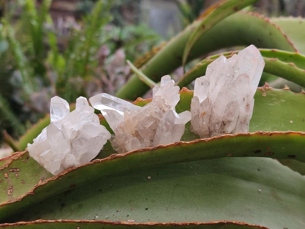 Natural Malagasy Quartz Clusters x 35 From Madagascar - Toprock Gemstones and Minerals 