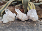 Natural Malagasy Quartz Clusters x 35 From Madagascar - Toprock Gemstones and Minerals 