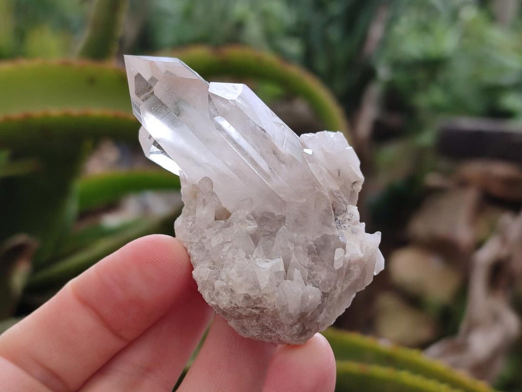 Natural Malagasy Quartz Clusters x 35 From Madagascar - Toprock Gemstones and Minerals 
