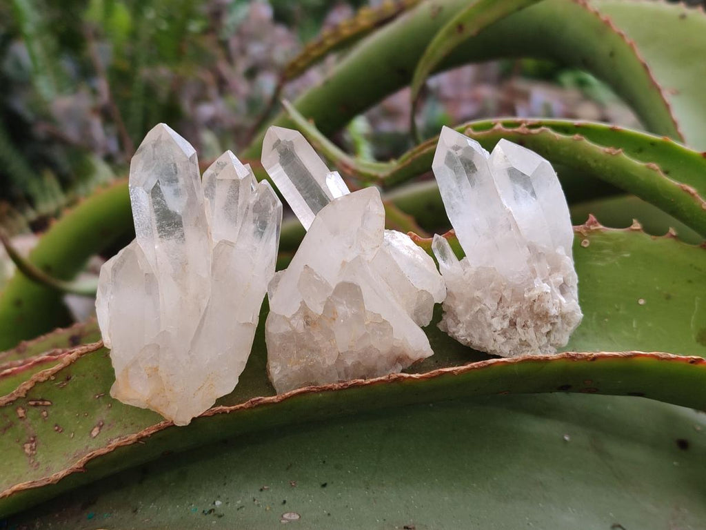 Natural Malagasy Quartz Clusters x 35 From Madagascar - Toprock Gemstones and Minerals 
