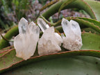 Natural Malagasy Quartz Clusters x 35 From Madagascar - Toprock Gemstones and Minerals 