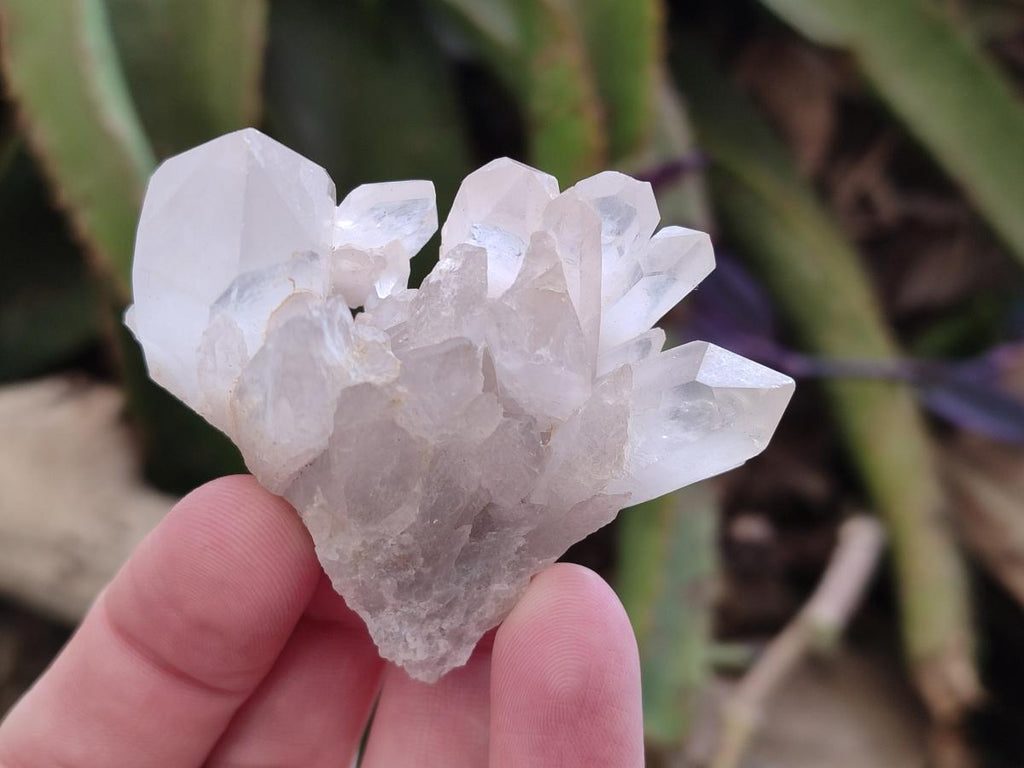 Natural Malagasy Quartz Clusters x 35 From Madagascar - Toprock Gemstones and Minerals 