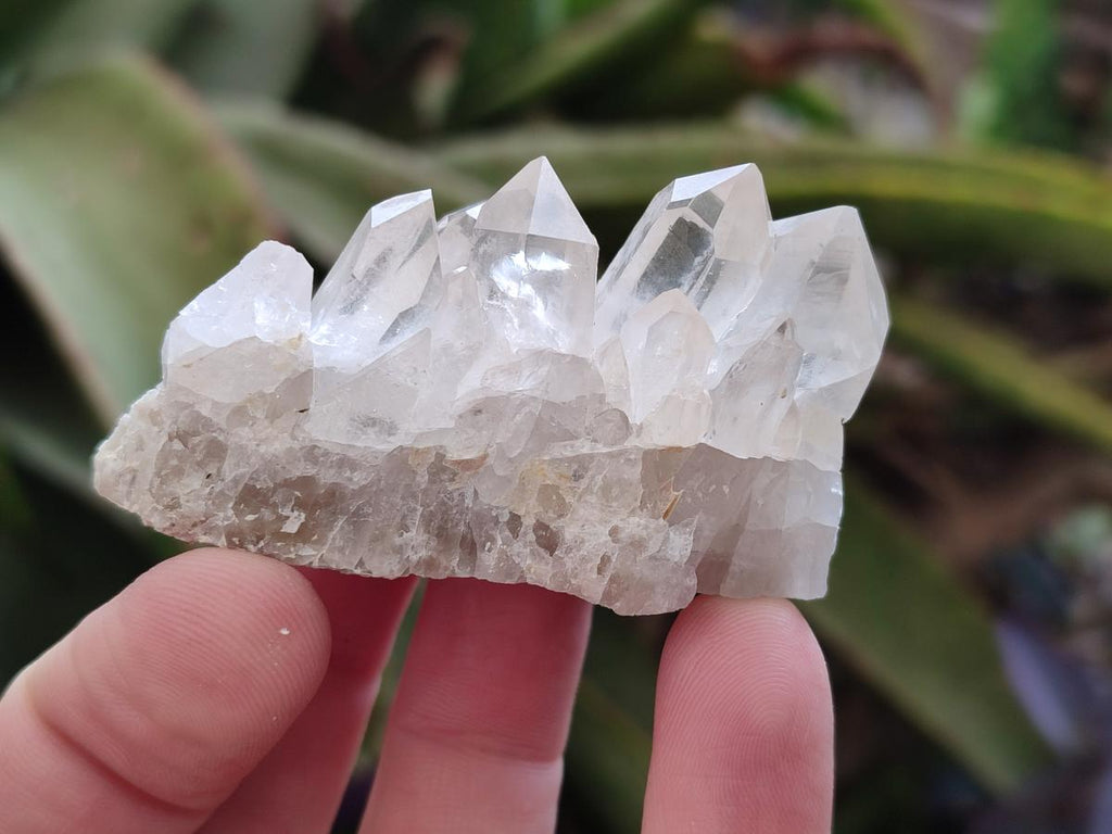 Natural Malagasy Quartz Clusters x 35 From Madagascar - Toprock Gemstones and Minerals 