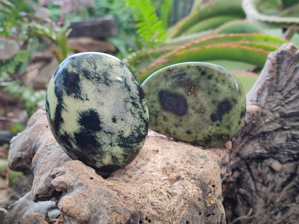 Polished Leopard Stone Galet Free Forms x 19 From Zimbabwe - Toprock Gemstones and Minerals 