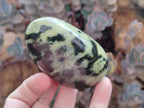 Polished Leopard Stone Galet Free Forms x 19 From Zimbabwe - Toprock Gemstones and Minerals 