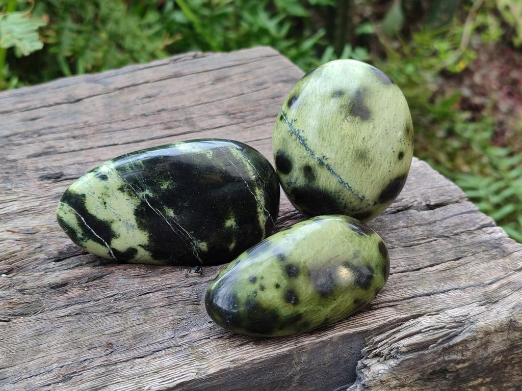 Polished Leopard Stone Galet Free Forms x 19 From Zimbabwe - Toprock Gemstones and Minerals 
