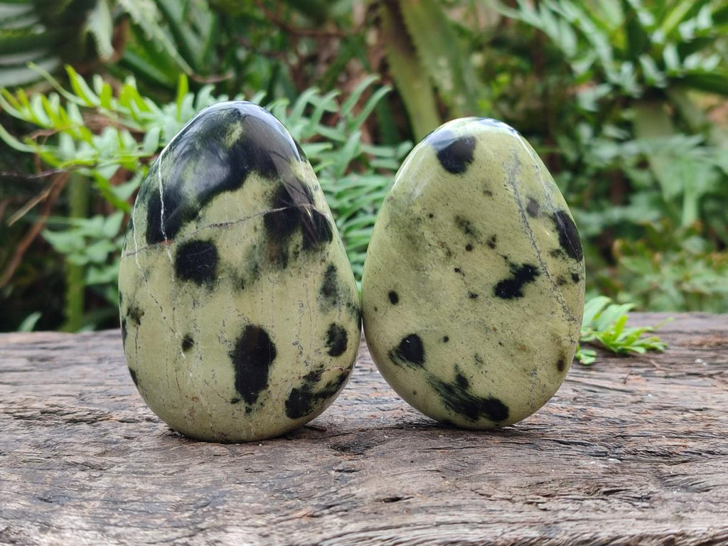 Polished Leopard Stone Galet Free Forms x 19 From Zimbabwe - Toprock Gemstones and Minerals 