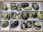 Polished Leopard Stone Galet Free Forms x 19 From Zimbabwe - Toprock Gemstones and Minerals 
