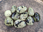 Polished Leopard Stone Galet Free Forms x 19 From Zimbabwe - Toprock Gemstones and Minerals 