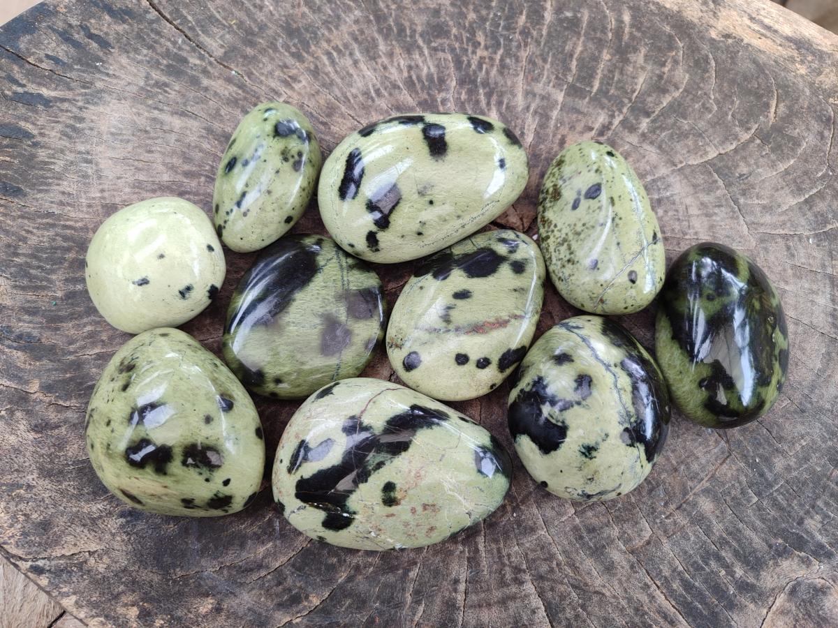 Polished Leopard Stone Galet Free Forms x 19 From Zimbabwe - Toprock Gemstones and Minerals 