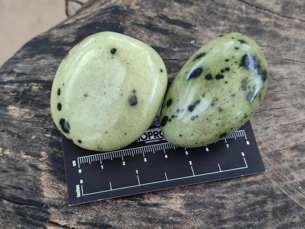 Polished Leopard Stone Galet Free Forms x 19 From Zimbabwe - Toprock Gemstones and Minerals 