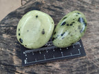 Polished Leopard Stone Galet Free Forms x 19 From Zimbabwe - Toprock Gemstones and Minerals 