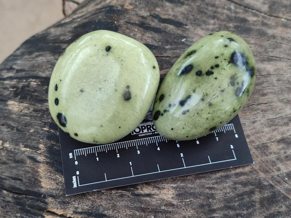 Polished Leopard Stone Galet Free Forms x 19 From Zimbabwe - Toprock Gemstones and Minerals 