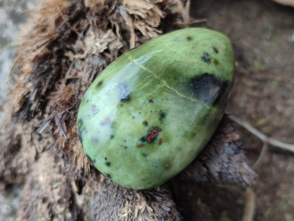 Polished Leopard Stone Galet Free Forms x 19 From Zimbabwe - Toprock Gemstones and Minerals 