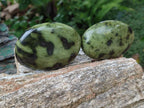 Polished Leopard Stone Galet Free Forms x 19 From Zimbabwe - Toprock Gemstones and Minerals 
