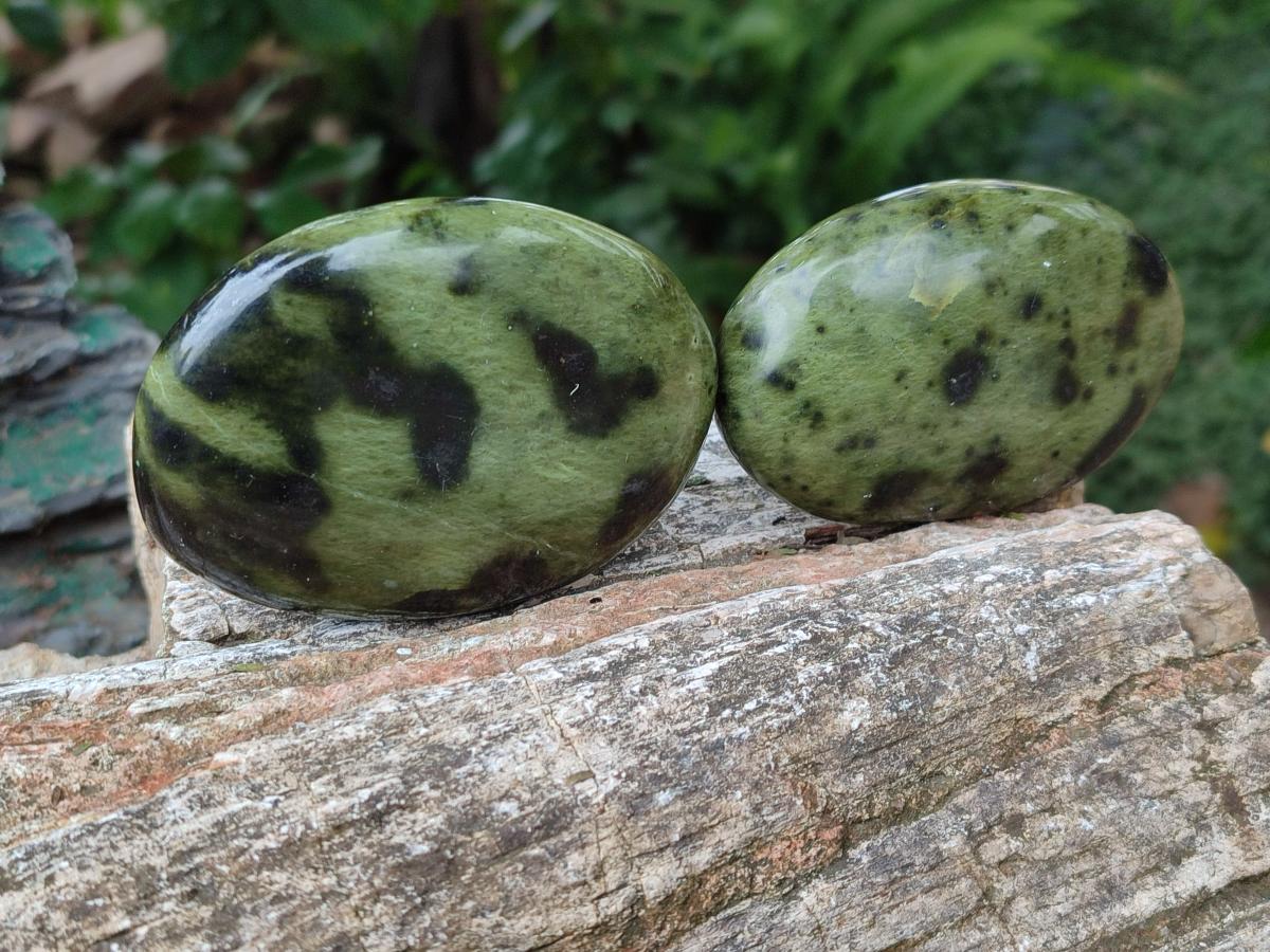 Polished Leopard Stone Galet Free Forms x 19 From Zimbabwe - Toprock Gemstones and Minerals 