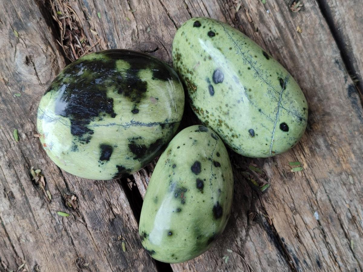 Polished Leopard Stone Galet Free Forms x 19 From Zimbabwe - Toprock Gemstones and Minerals 