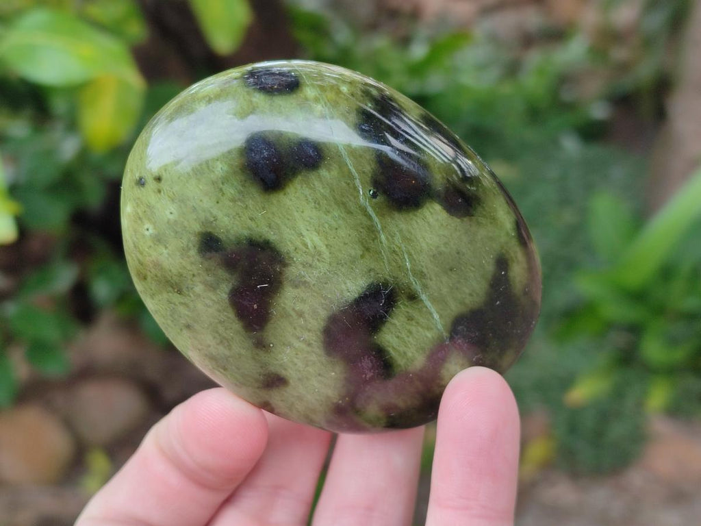 Polished Leopard Stone Galet Free Forms x 19 From Zimbabwe - Toprock Gemstones and Minerals 