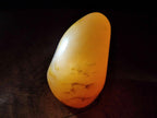 Polished Mixed Multi Mineral Display Pieces x 2 From Madagascar - Toprock Gemstones and Minerals 
