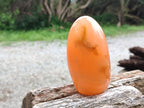Polished Mixed Multi Mineral Display Pieces x 2 From Madagascar - Toprock Gemstones and Minerals 